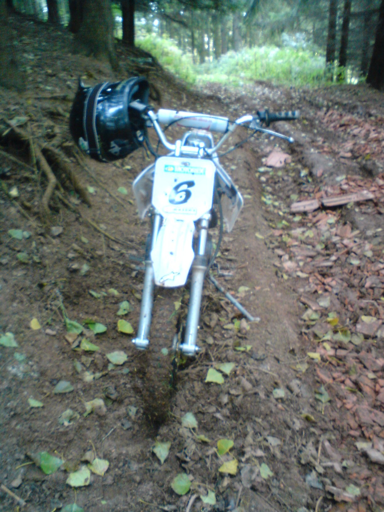 DSC00068.JPG